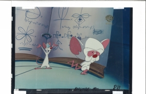 Pinky and Brain Book