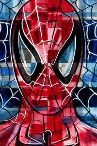 Spider-Man mini canvas