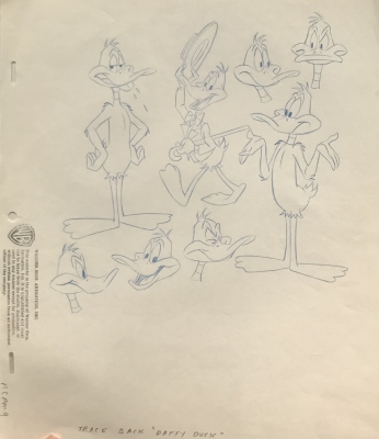 Daffy Duck Model drawing