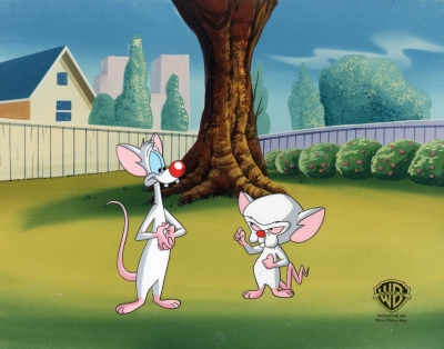 Pinky and the Brain from T.H.E.Y.