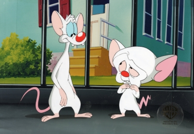 Pinky and the Brain 5800