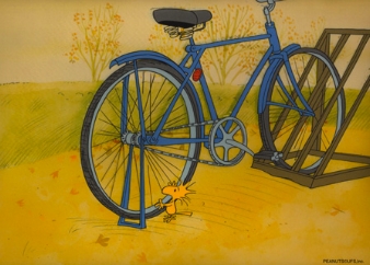 Woodstock with Bike set-up 